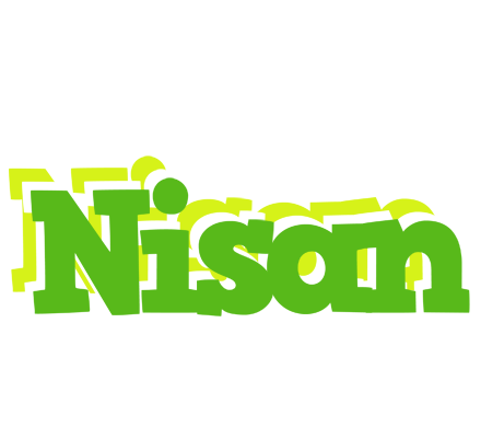 Nisan picnic logo