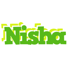 Nisha picnic logo
