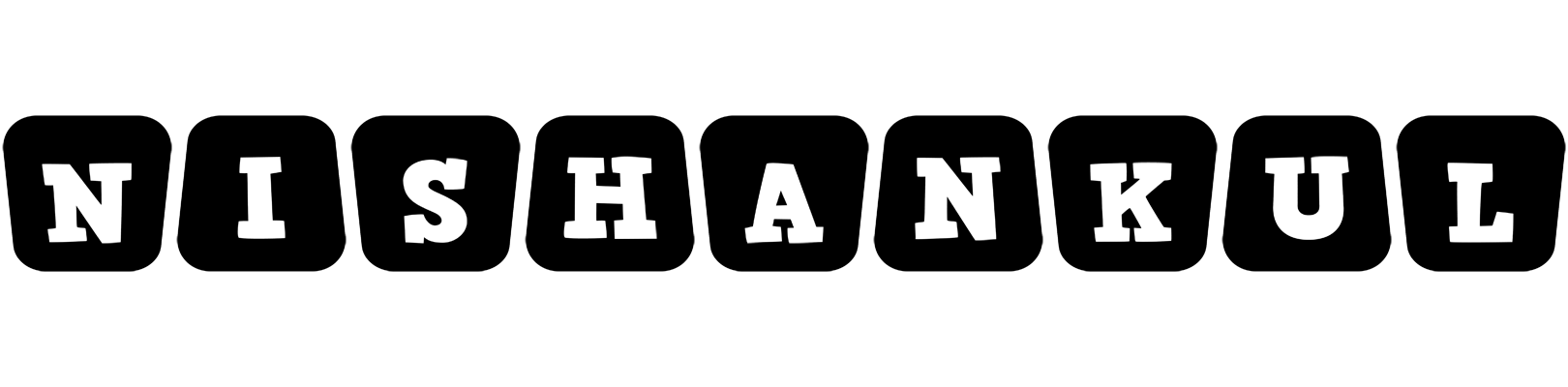 Nishankul racing logo
