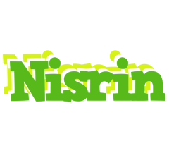 Nisrin picnic logo