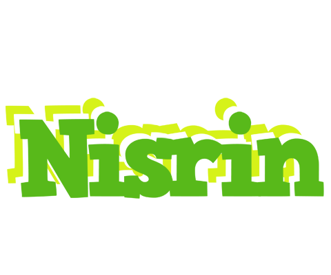 Nisrin picnic logo