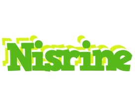 Nisrine picnic logo