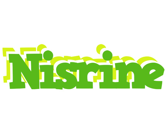 Nisrine picnic logo
