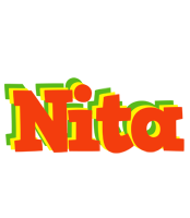 Nita bbq logo