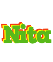 Nita crocodile logo