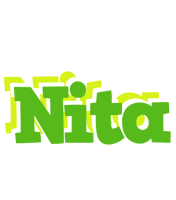 Nita picnic logo