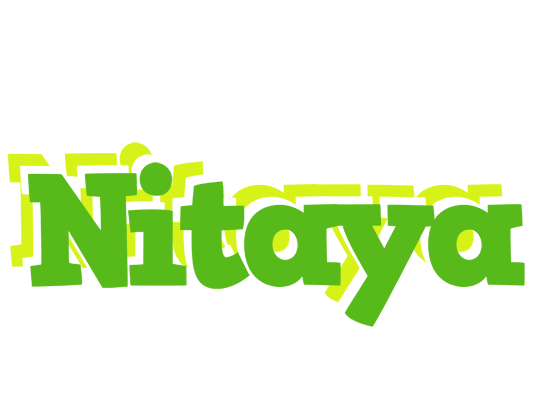 Nitaya picnic logo