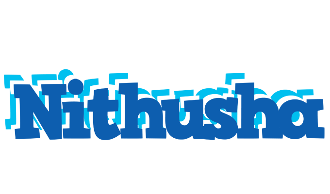 Nithusha business logo