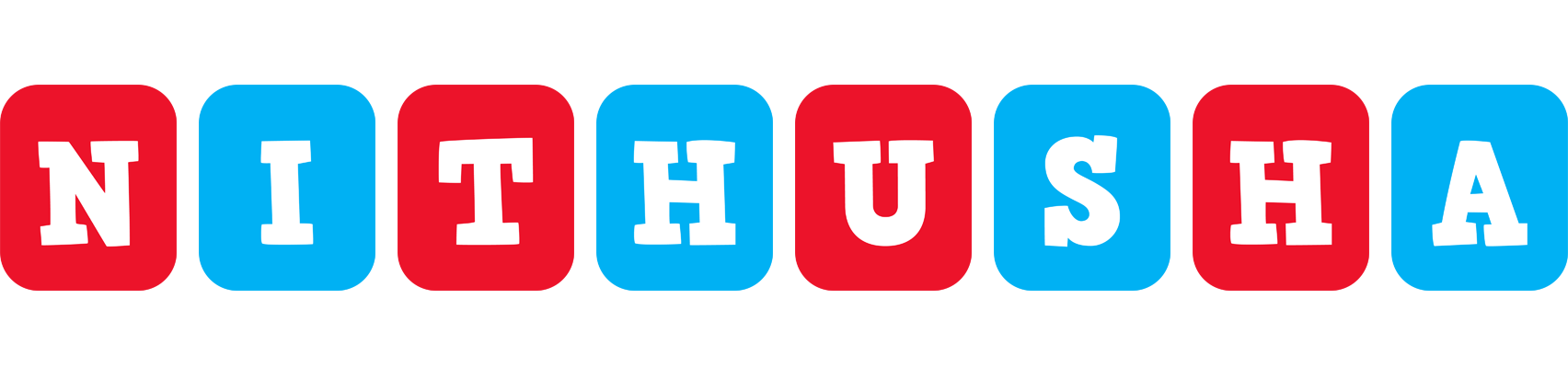 Nithusha diesel logo
