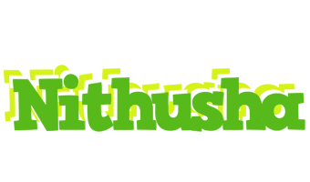 Nithusha picnic logo