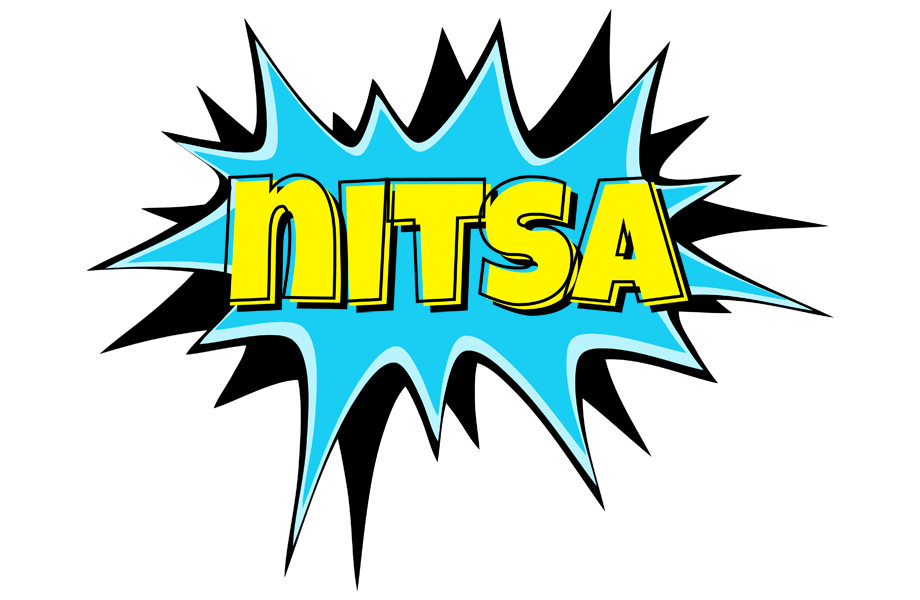 Nitsa amazing logo