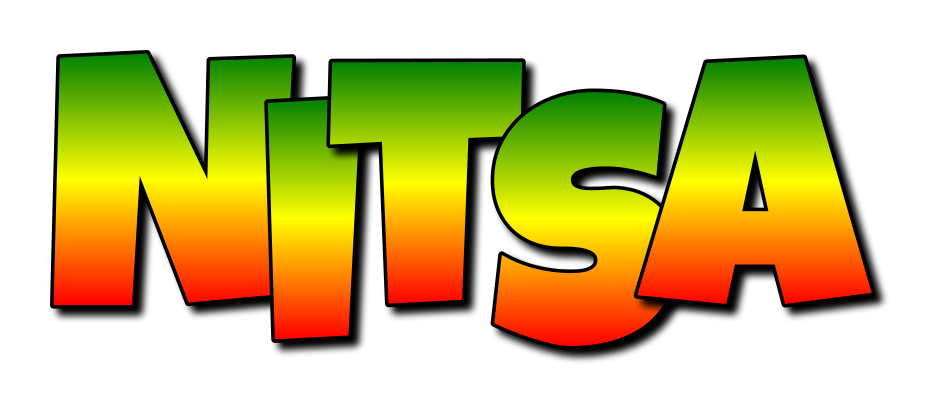 Nitsa mango logo