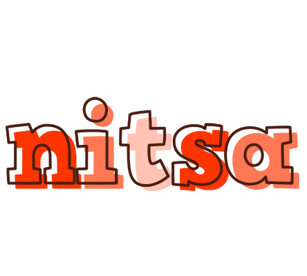 Nitsa paint logo