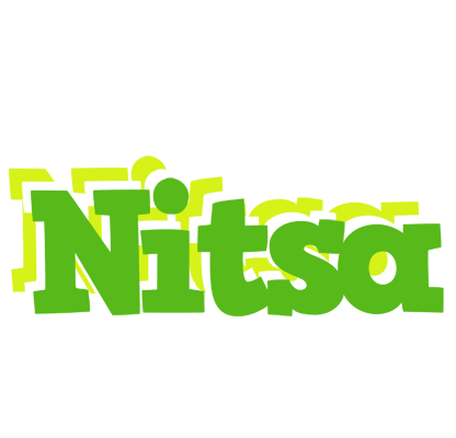 Nitsa picnic logo