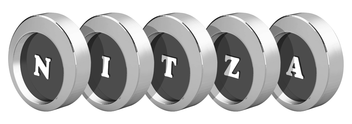 Nitza coins logo