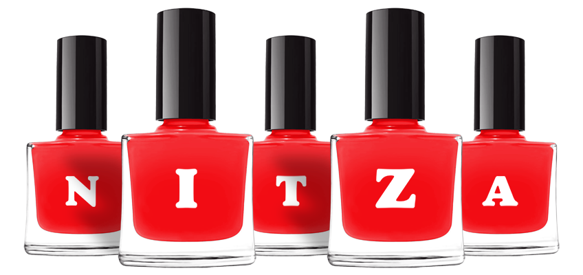 Nitza fashion logo
