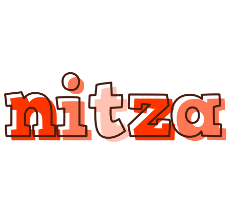 Nitza paint logo
