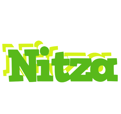 Nitza picnic logo