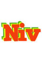 Niv bbq logo