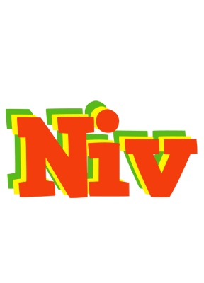 Niv bbq logo