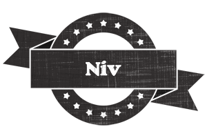 Niv grunge logo