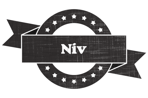 Niv grunge logo
