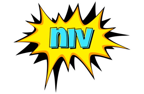 Niv indycar logo