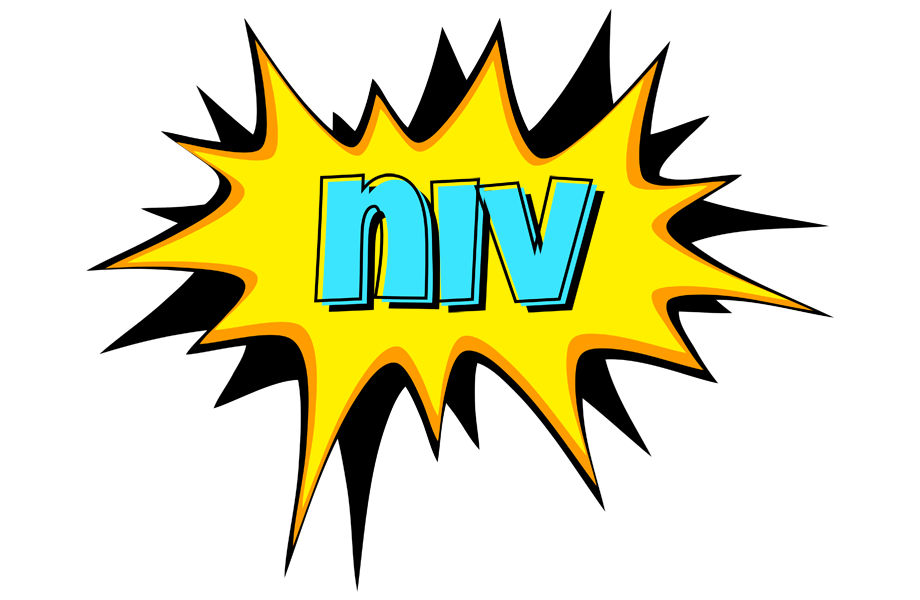 Niv indycar logo