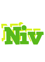 Niv picnic logo