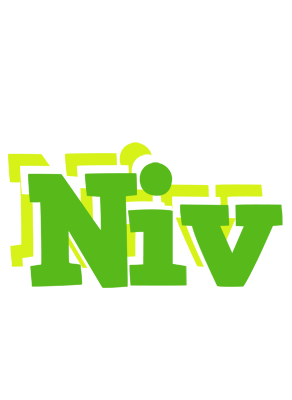 Niv picnic logo