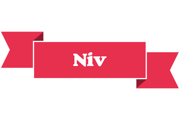 Niv sale logo