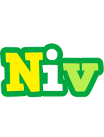 Niv soccer logo