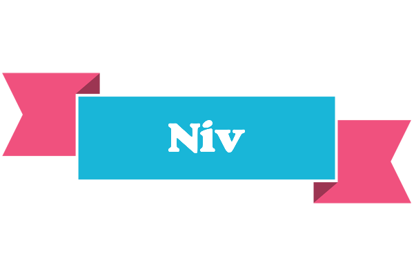 Niv today logo