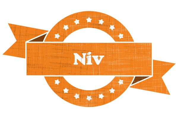 Niv victory logo