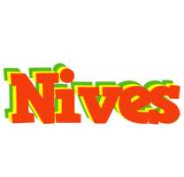 Nives bbq logo