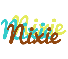 Nixie cupcake logo