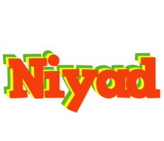 Niyad bbq logo