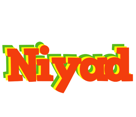 Niyad bbq logo