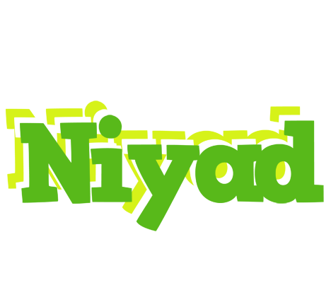 Niyad picnic logo