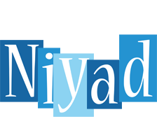 Niyad winter logo
