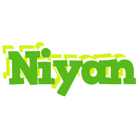 Niyan picnic logo