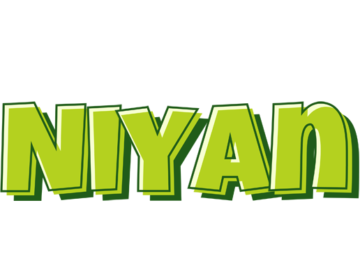 Niyan summer logo