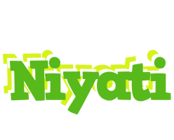 Niyati picnic logo