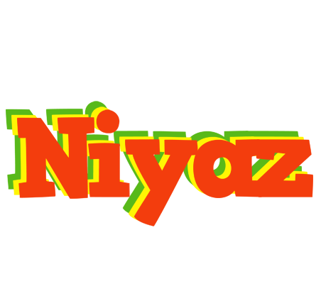 Niyaz bbq logo