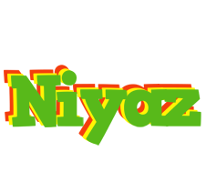 Niyaz crocodile logo