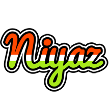 Niyaz exotic logo