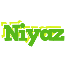 Niyaz picnic logo