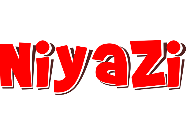 Niyazi basket logo