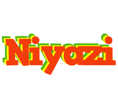 Niyazi bbq logo