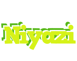 Niyazi citrus logo
